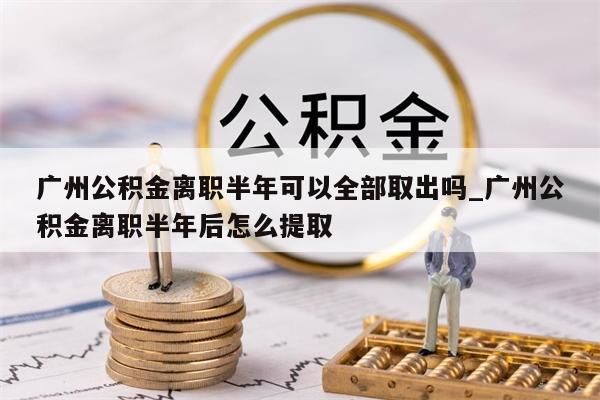 广州公积金离职半年可以全部取出吗_广州公积金离职半年后怎么提取